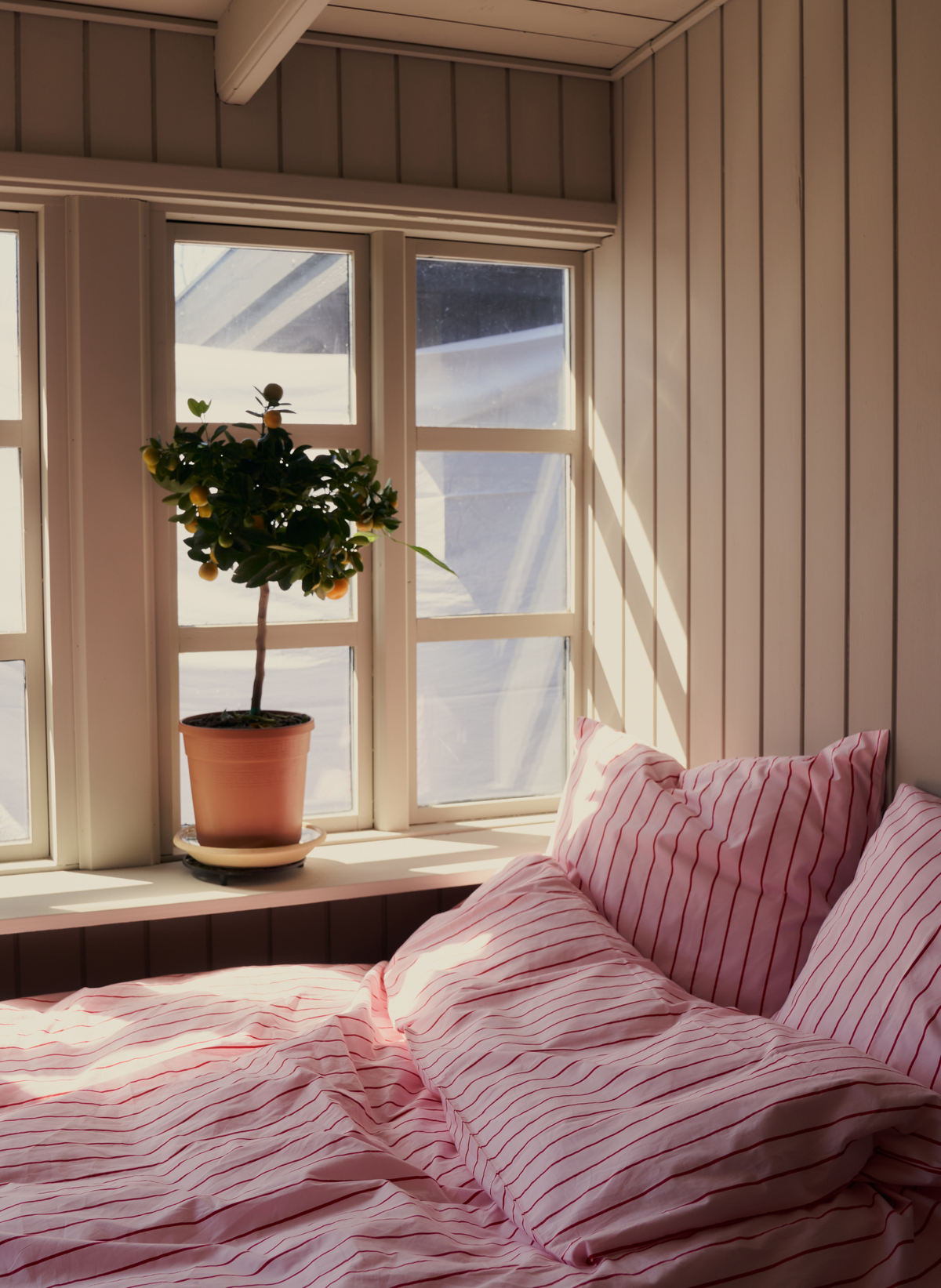 Bongusta Percale Bettwäsche Set Rosa & Rot
